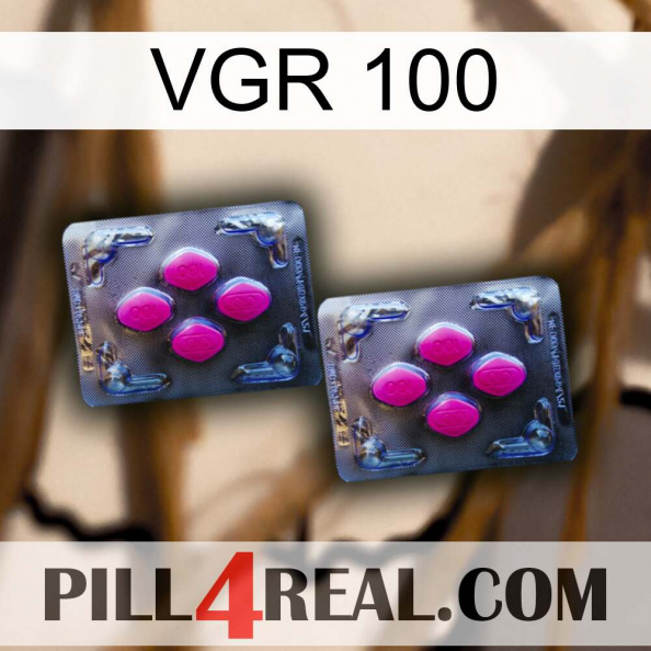 Vgr 100 01.jpg